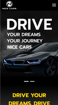 Nice Car​
